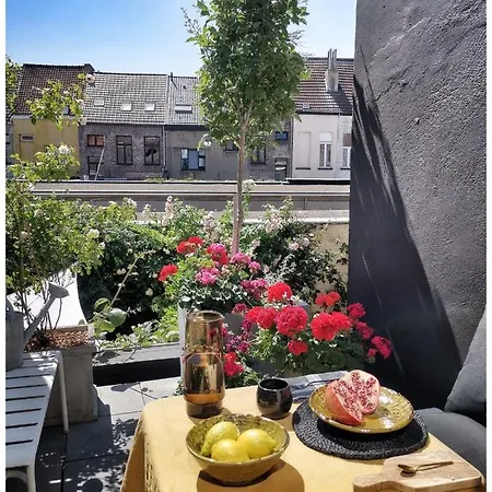 Spiegelhof Gent